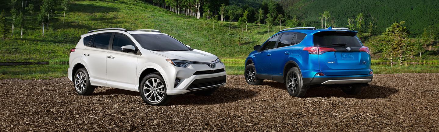 2017 Toyota Rav4 Trims and Colors in Boston