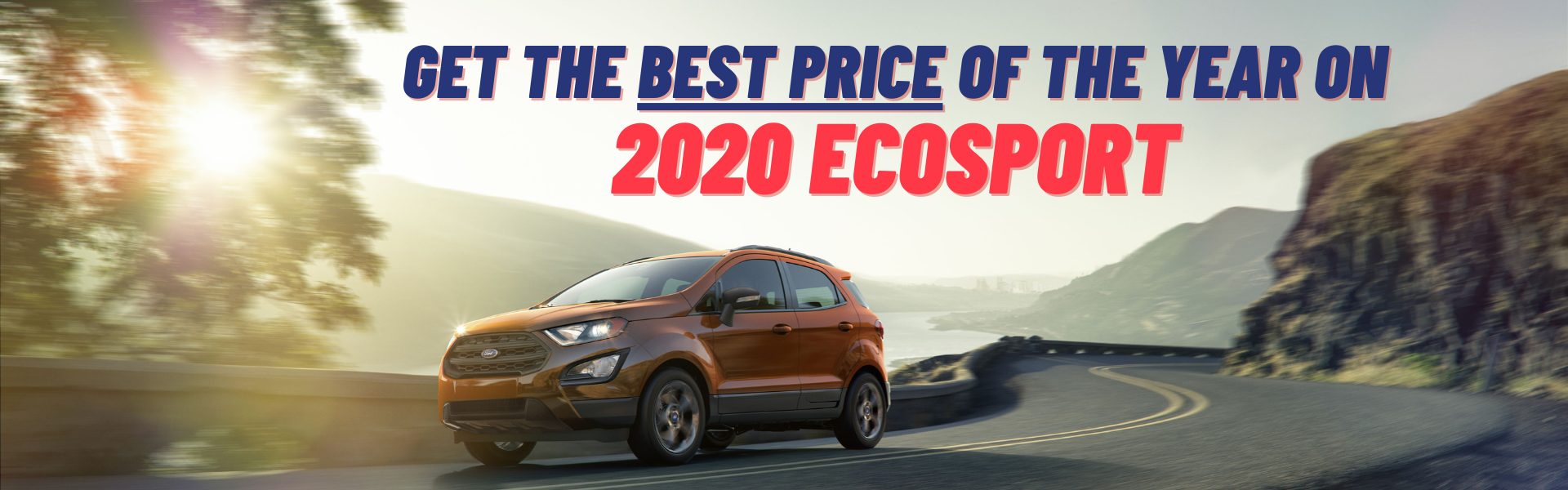 2020 Ecosport Landing Page