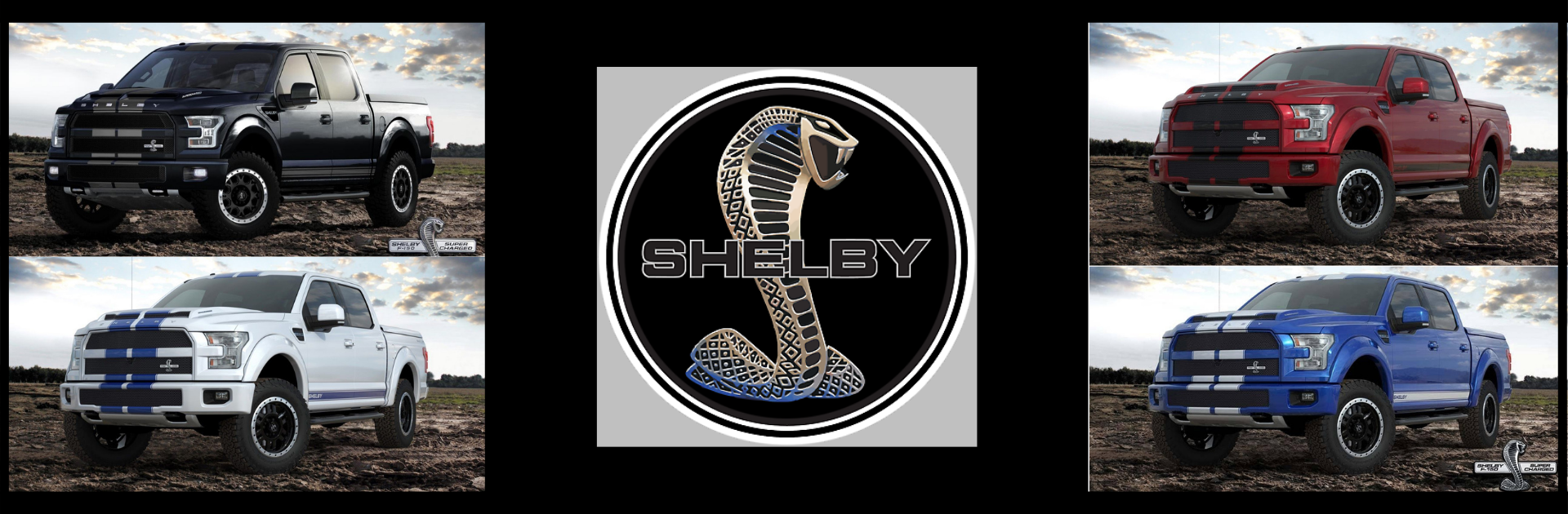 2020 Shelby F 150