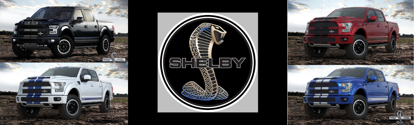 Shelby At Bozeman Ford