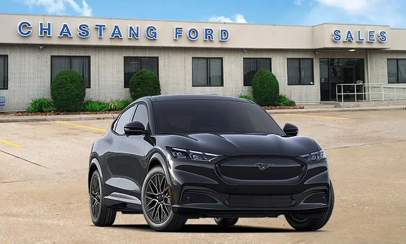 2026 Mustangmache Models