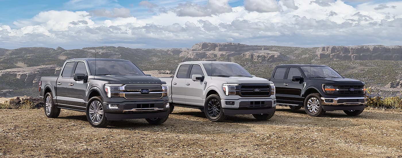 Three 2026 Ford F-150 trucks lined up overlooking a canyon