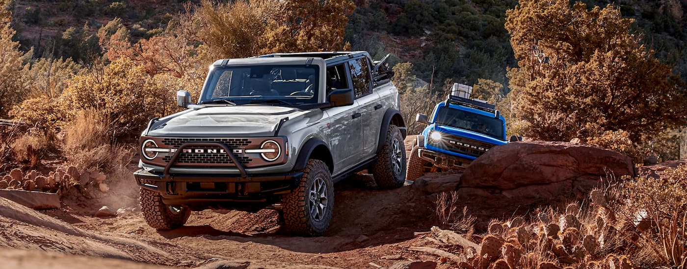 A gray and a blue 2026 Ford Bronco off-roading on a dirt trail