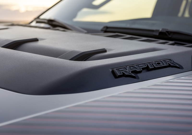 Raptor Detail