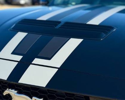 Mustang Roushchargerd Hood