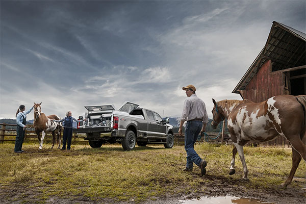 23 Frd Fsd 58694 Xl 450 0003 23 Frd Fsd 58680 Plt 350.jpg