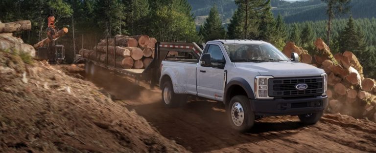 26 Ford F 350 Hauling Tree Trunks