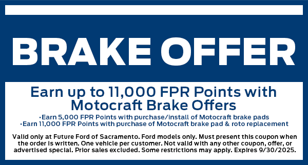 Brake