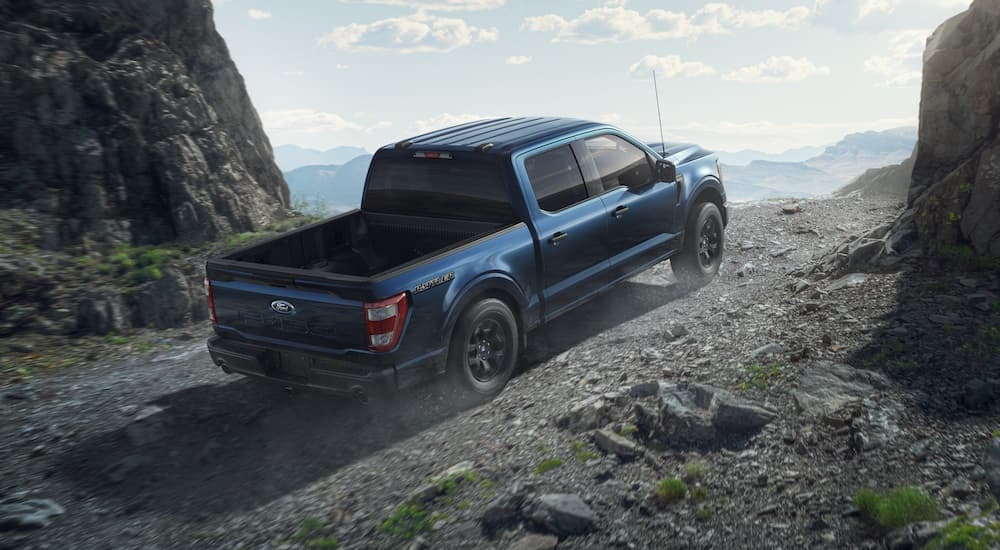 A blue 2023 Ford F-150 Rattler is shown from behind driving up a mountain trail.