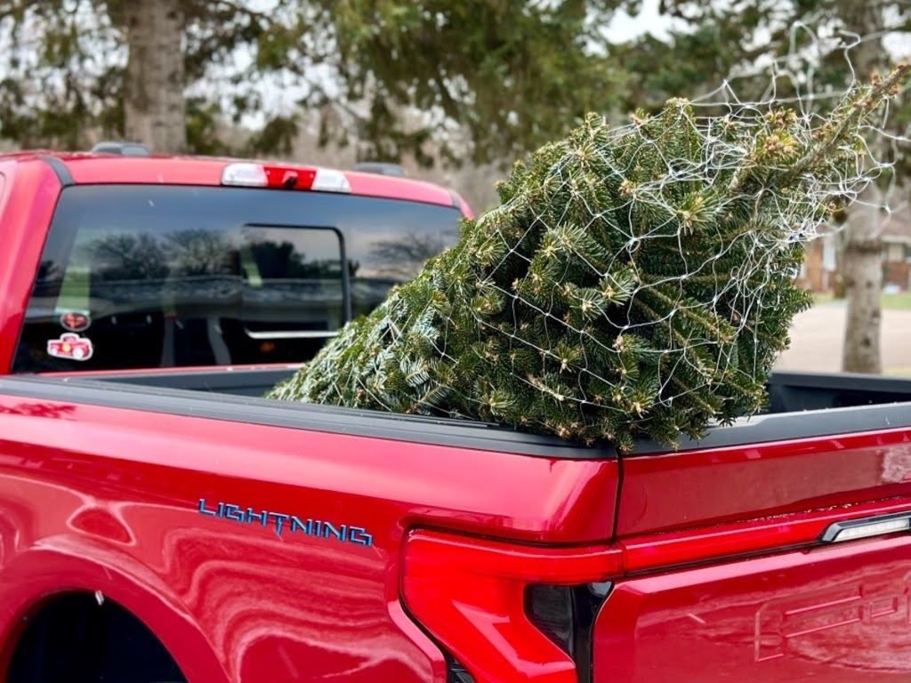 Ford Charging Holidays