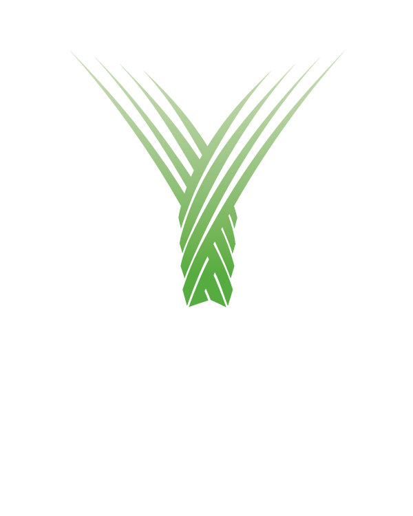 New Yaamava Logo Stacked Primary Wht Cmyk