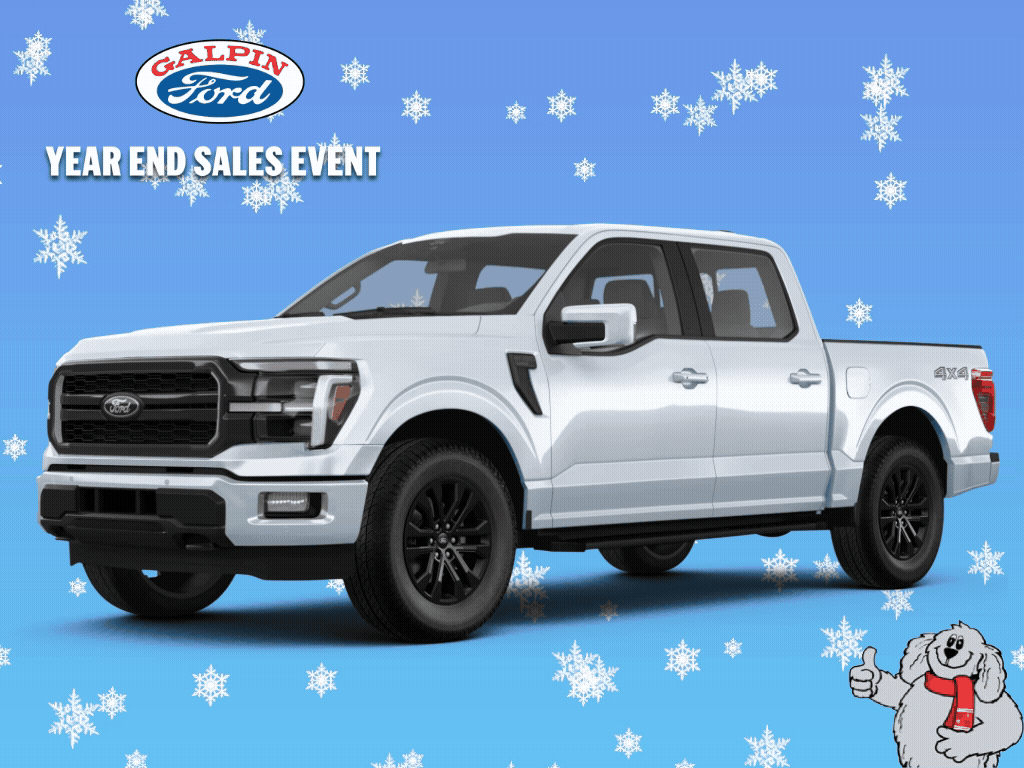 Ford F 150 Winter (1)