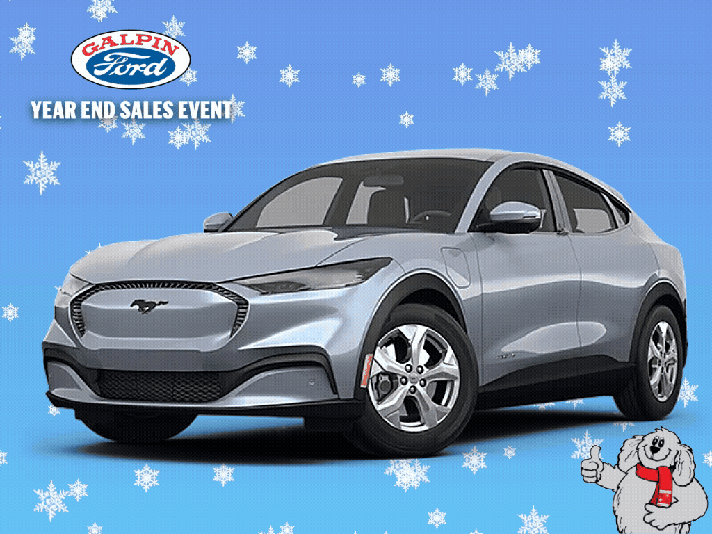 Ford Mac E Winter (1)