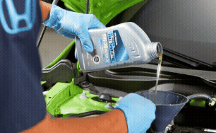 Hond Oil Change