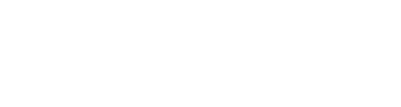 Galpinvw Logo White