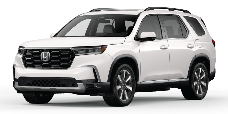 25 Bnr Pg Pilot Elite