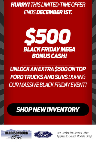 Nov Blackfriday 320x480 (1)