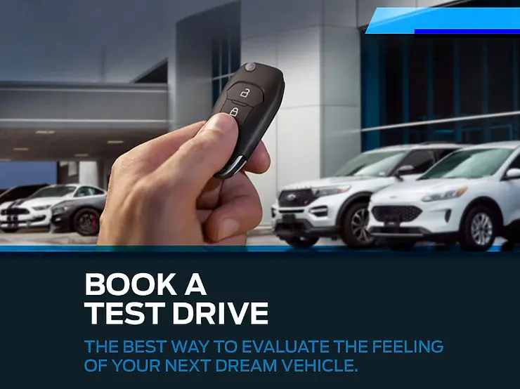 Experience The Thrill11