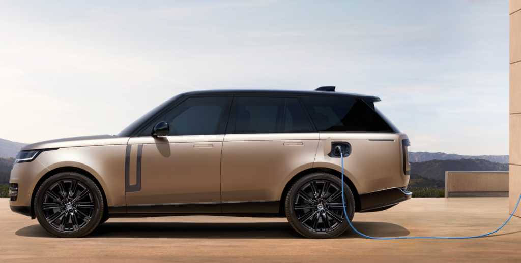 Imageedit 5 2195225852