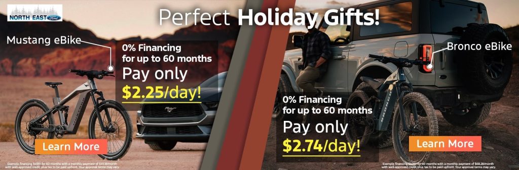 Bronco & Mustang Ebike