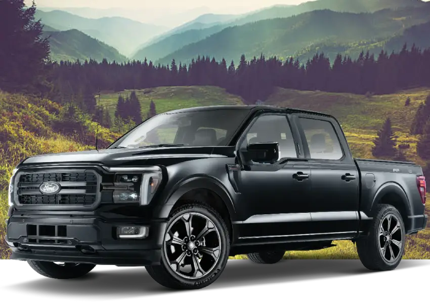 Fp700s Black Package