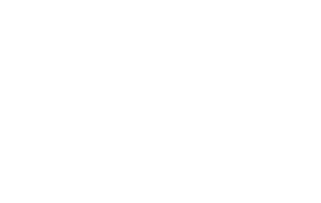 Hondaprimarywht