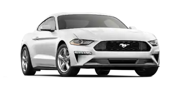 2019 Ford Mustang 2019 Ford Mustang Special | Roesch Ford