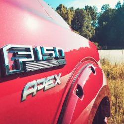 FDApexBadging1 FDApexBadging1