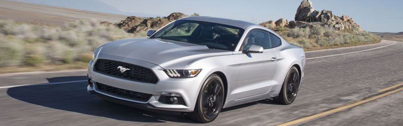 Ford Mustang Silver