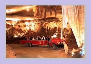 Fancavern 1