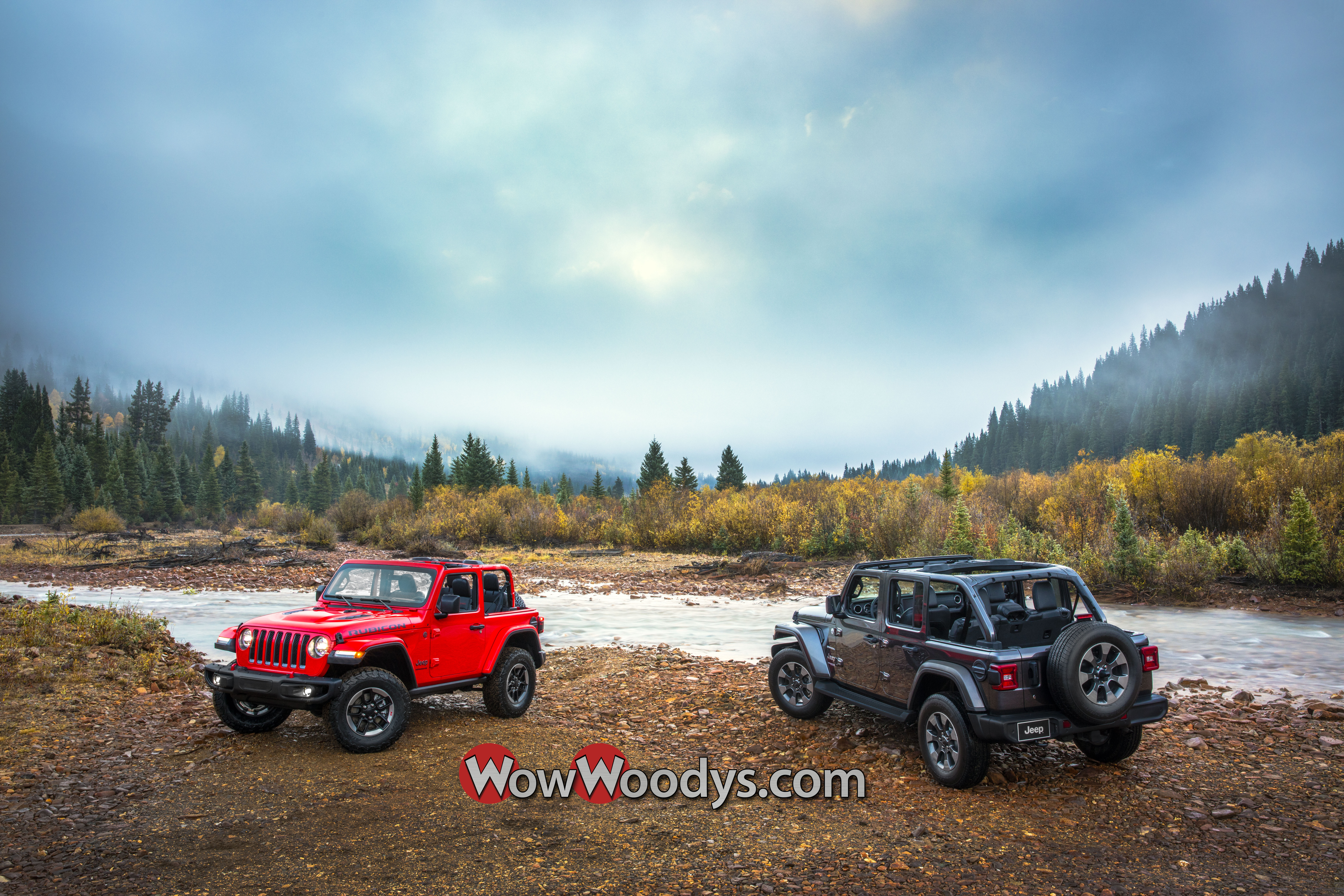 2019 Jeep Wrangler for Sale
